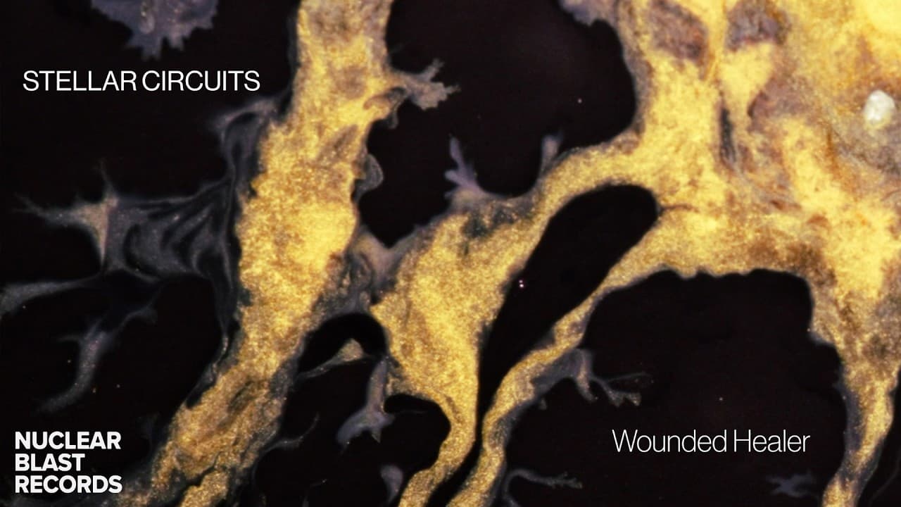 Stellar Circuits - Wounded Healer Official Lyric Visualizer